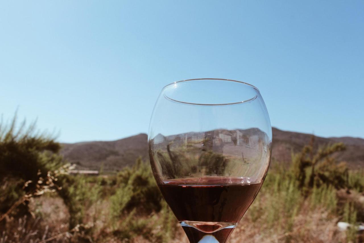 Quintas Marlet En La Ruta Del Vino Ensenada Buitenkant foto