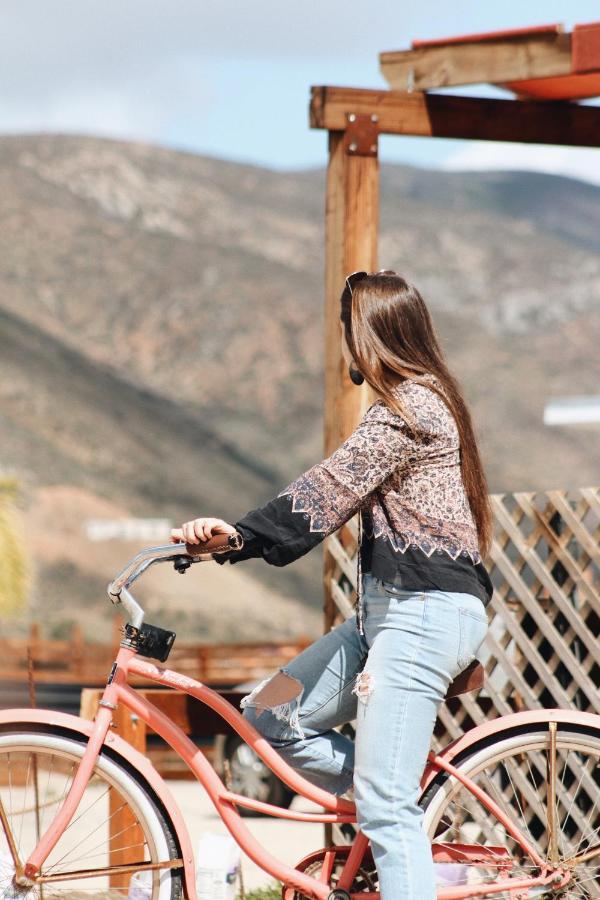 Quintas Marlet En La Ruta Del Vino Ensenada Buitenkant foto